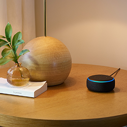 table display with Alexa device